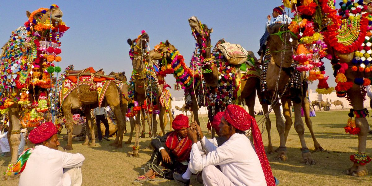 Camel Festival, Bikaner, Rajasthan